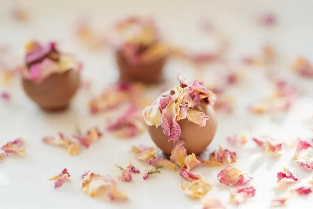 Moon Kasino Apl Android/iOS